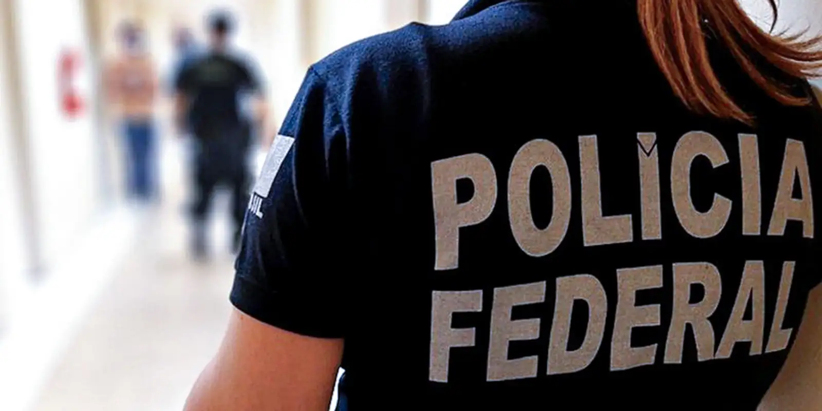 pf-faz-operacao-contra-fraudes-no-registro-de-armas-de-colecionadores