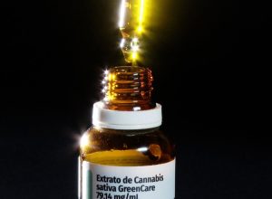 maioria-dos-pacientes-que-importa-remedios-canabicos-faz-musculacao